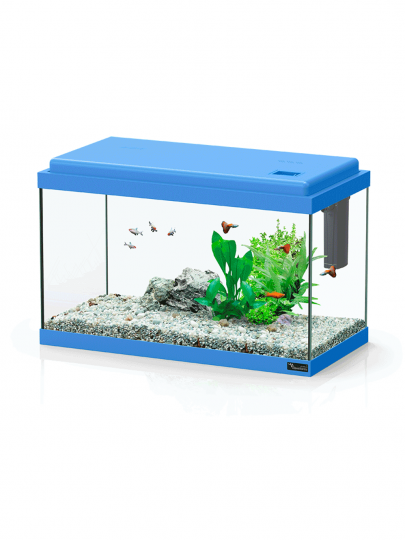 Aquario Funny Fish 50x25x32  Azul 40 L c/ filtro TC200